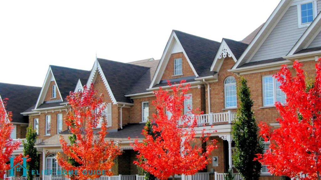 Understanding Your Options: Attached Housing Explained